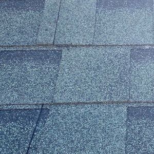 Meet your Posher, Ryann